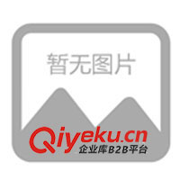 供應(yīng)五十鈴TFR四驅(qū)汽車減震器